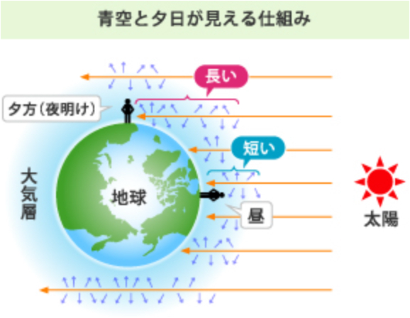 参考図（CCS株式会社のページより引用）