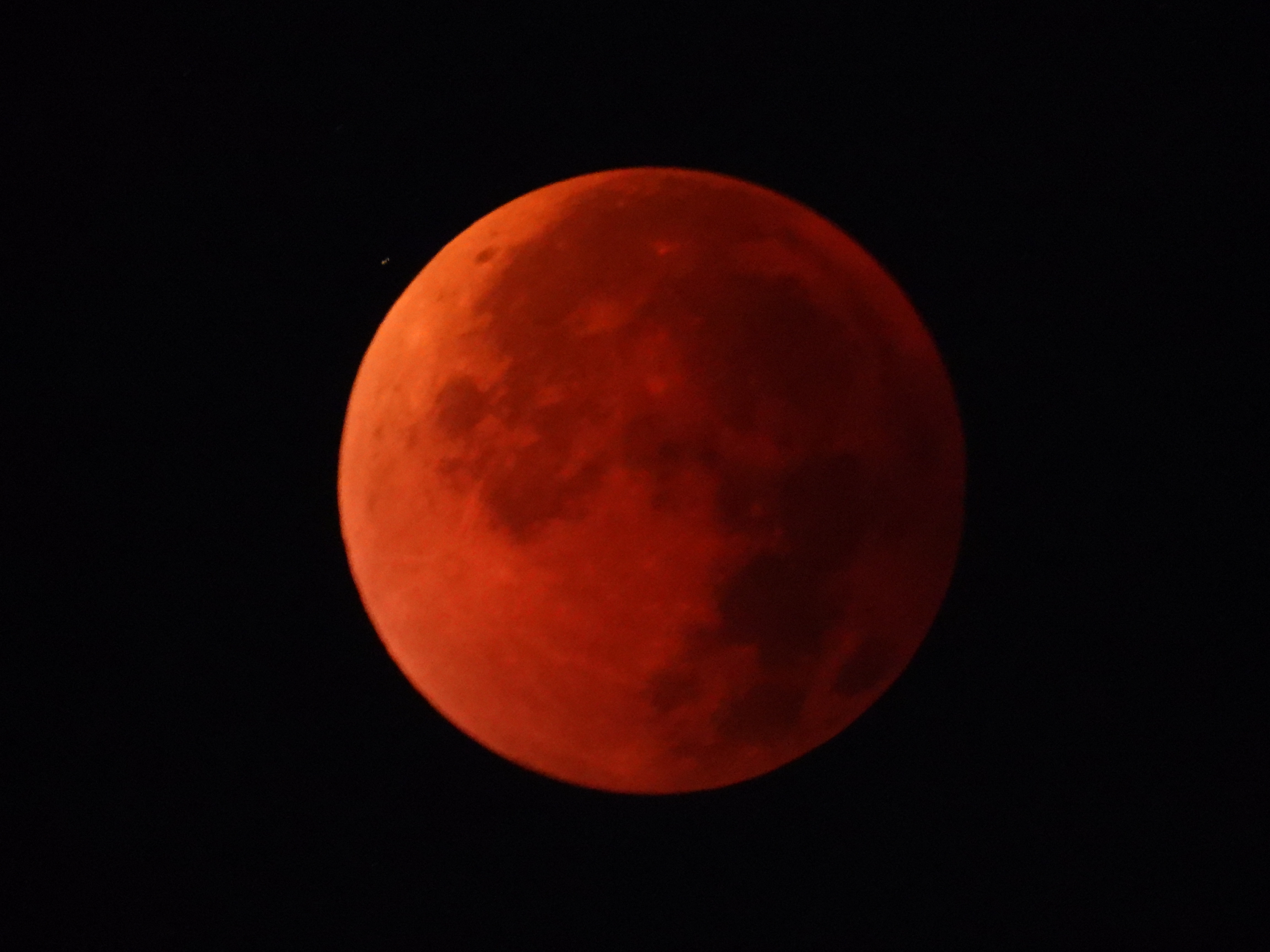 スライドショウの画像 1